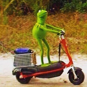 Meet your Posher, Denise